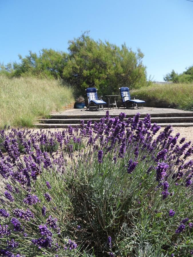ניו רומני Romney Bay House Hotel מראה חיצוני תמונה